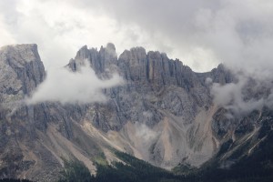 IMG_2490