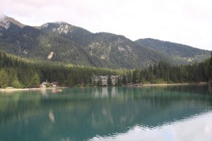 IMG_2517