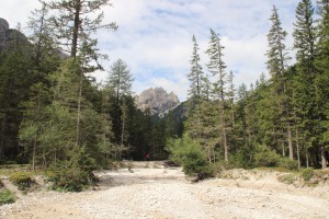 IMG_2528