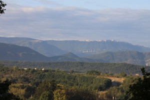 Bild002