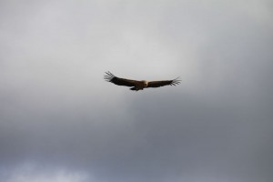 Bild010